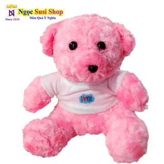 GẤU TEDDY ÁO SIZE NHỎ 25CM SIÊU ĐẸP