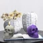 Flgo DIY Craft Epoxy Resin Khuôn Handmade Bucktooth Skull Trang Trí Khuôn Silicon