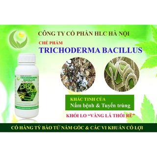 NẤM ĐỐI KHÁNG TRICHODERMA BACILLUS HLC (DẠNG NƯỚC) CHAI 250ML - Ủ PHÂN CHUỒNG, TƯỚI CÂY, ĐỐI KHÁNG NẤM BỆNH, CẢI TẠO ĐẤT