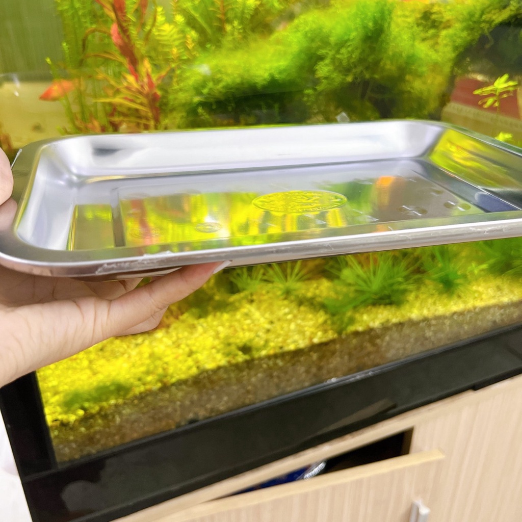 Khay mâm inox chữ nhật cạn đủ size vừa đến lớn