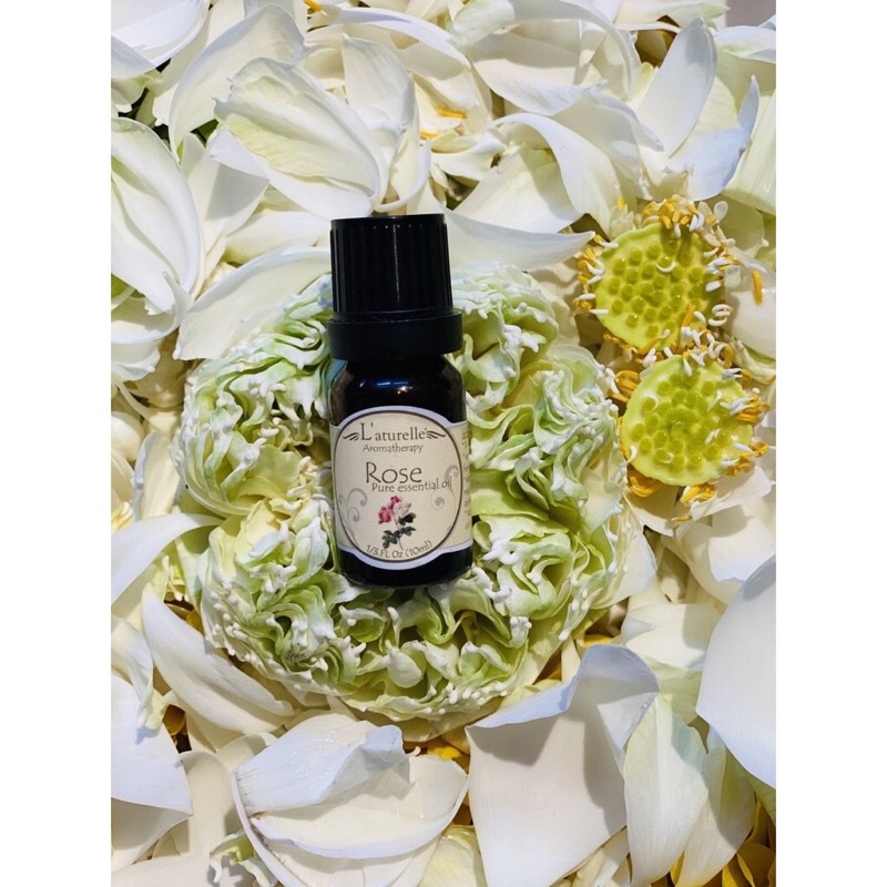 Tinh dầu Hoa hồng - ROSE cao cấp L'aturelle 10ml làm mờ vết thâm, dưỡng ẩm cho da, giúp giấc ngủ ngon và sâu, làm thơm