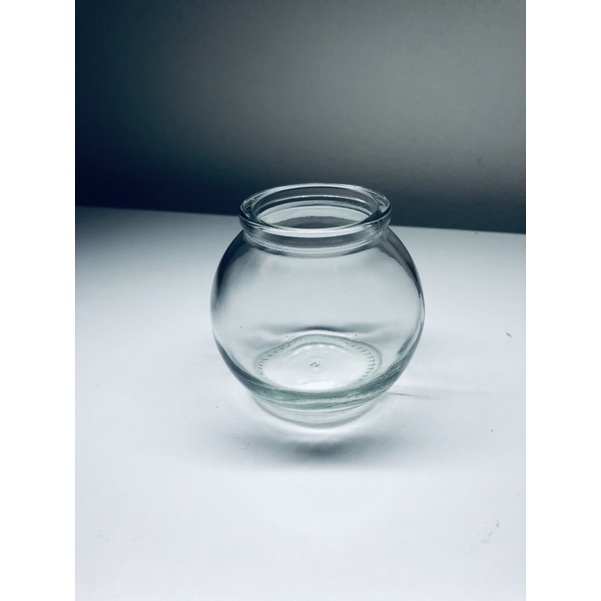Lọ thuỷ tinh trồng cây mini, tiểu cảnh, terrarium, thuỷ sinh, bán cạn