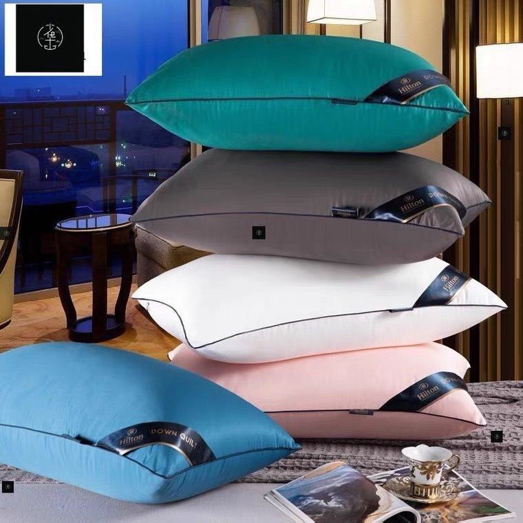 Ảnh Ruột gối Hilton Mịn Decor mềm mại kích cỡ 45x65cm 3