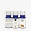 Tinh Dầu Quế NEOP 10mL - Cinnamon Essential Oil