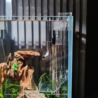 Ống Đựng Thức Ăn Cho Tôm Cá Bằng Acrylic Tiện Dụng