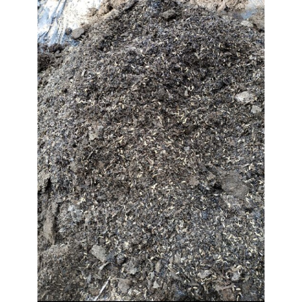 Đất phân trồng cây cảnh hoa kiểng 1 kg