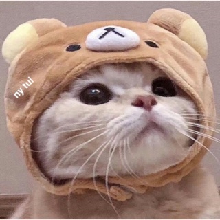 tianyinss