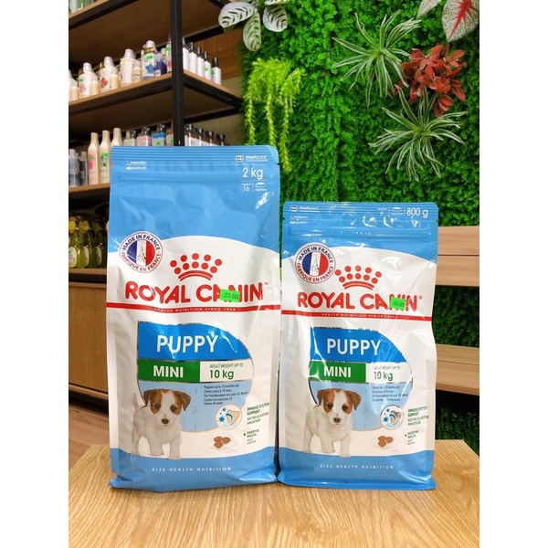 Thức ăn khô cho chó con Royal Canin Mini Puppy 800g-2kg tiêu hóa