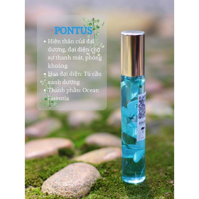 Nước Hoa Edhen - Pontus Con Mèo Đất | Shopee Việt Nam
