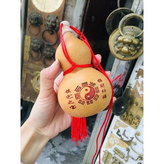 Quả Bầu Hồ lô Quả bầu thật treo phòng ngủ đầu giường vật phẩm phong thủy