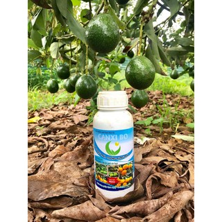 CANXI BO HLC 500ML CHỐNG RỤNG HOA, CHỐNG RỤNG QUẢ NON, DƯỠNG QUẢ NON, THÚC QUẢ LỚN, CHỐNG NỨT QUẢ CHO CÂY TRỒNG