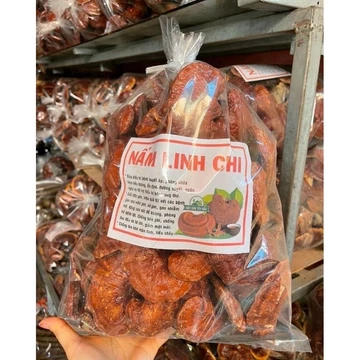 500G-1Kg Nấm Linh Chi Rừng Nguyên Cây, Nấm Linh chi Rừng Thái Lát
