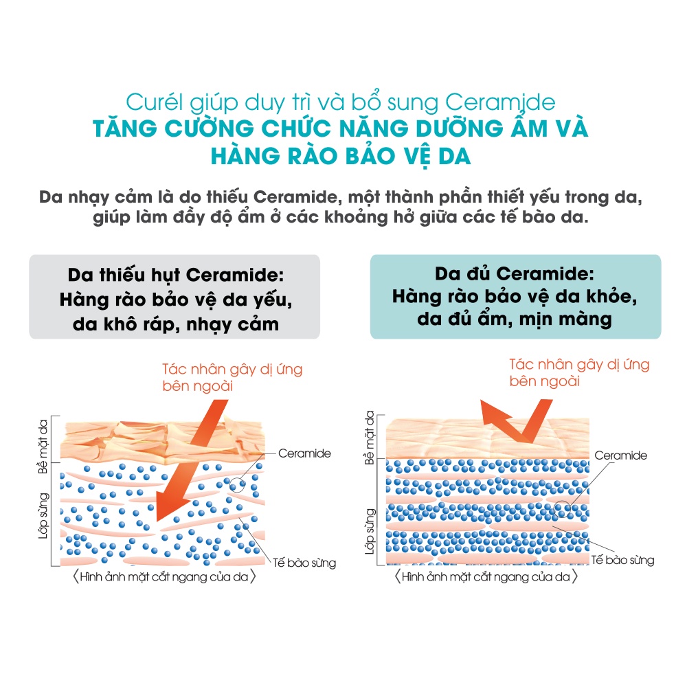 Ảnh Combo dưỡng ẩm chuyên sâu toàn thân Curel Sữa tắm 420ml + Sữa dưỡng 220ml 4