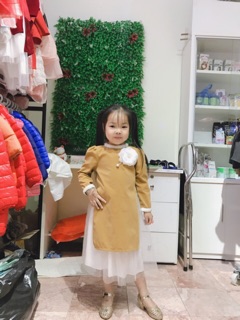 Áo dài cách tân nhung