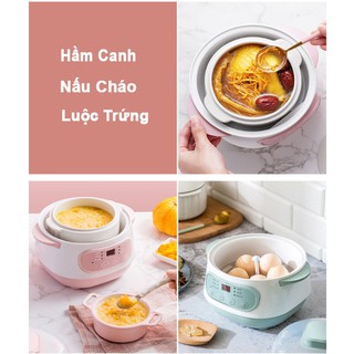 Nồi Nấu Cháo Chậm - Nồi Hầm Cách Thủy Dung Tích 1L, Lòng Nồi Bằng Sứ Giữ Nhiệt Tốt Hơn - Nồi Chưng Yến, Hầm Canh V125V