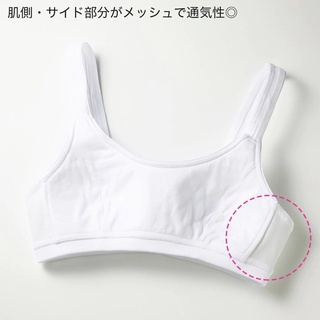 Áo Lót Bé Gái Cotton Sạch An Toàn Cho Da Bé, Kháng Khuẩn, Thấm Hút Mồ Hôi Pied Clair Gunze PCS0
