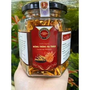 Đông Trùng Hạ Thảo Viện Hàn Lâm KHCN Việt Nam