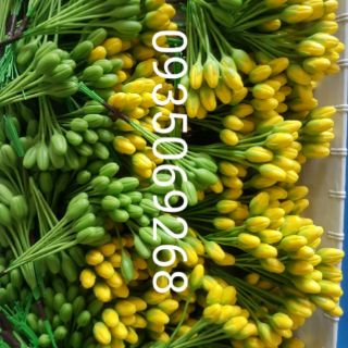 Combo Nụ mai đất sét