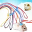 Dây Dắt Thú Cưng Đi Dạo 1.4m