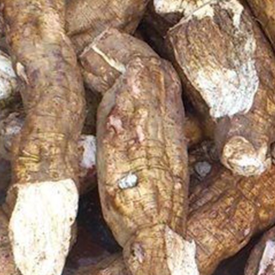 Củ sắn dây khô (cát căn) JINDO 1kg tác dụng thanh nhiệt, tốt cho cơ thể