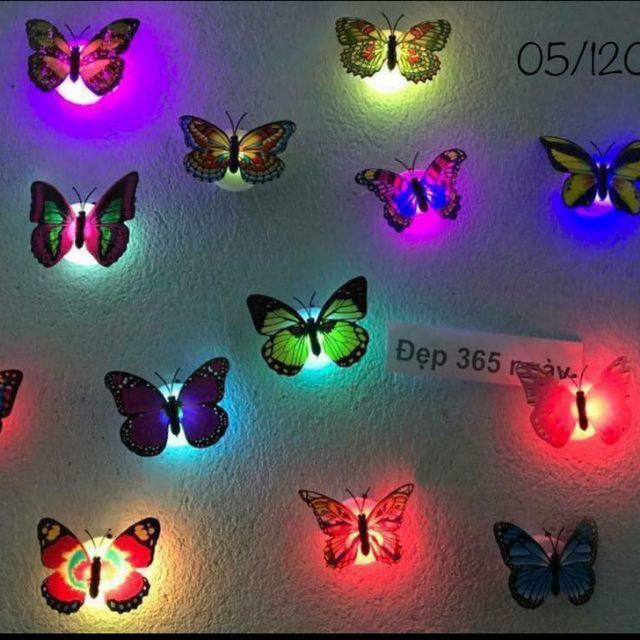 Đèn led dán tường hình bướm | Shopee Việt Nam