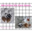 Móc khóa gấu We bare bears - Handmade len - Amigurumi (có chuông)