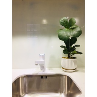 Vòi lavabo tay vặn WATERTEC màu trắng WT0063 nhựa ABS/PP/POM Malaysia chống oxy hóa