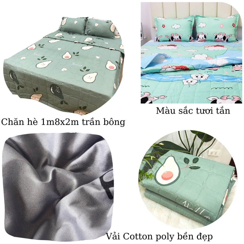 Ảnh Chăn Hè 1m8x2m trần bông 2 mặt Cotton poly (Được lựa mẫu) 1