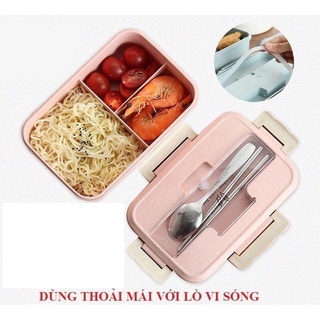 Hộp đựng cơm lúa mạch cao cấp 3 ngăn kèm đũa thìa