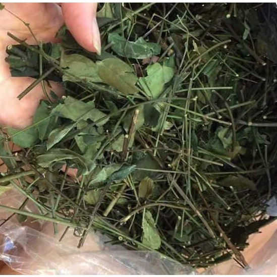 Chè vằng sẻ 1kg khô số1 Jindo hỗ trợ kiểm soát cân nặng, giảm mỡ máu, chậm kinh, kích sữa tốt cho mẹ bầu