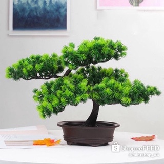 Cành Tùng La Hán Giả Trang Trí Nhà Cửa [3 Mẫu] Cành Cao, Cụm Điểm, Rủ Dài - Cây Tiểu Cảnh Nhựa PVC Bọc Kẽm