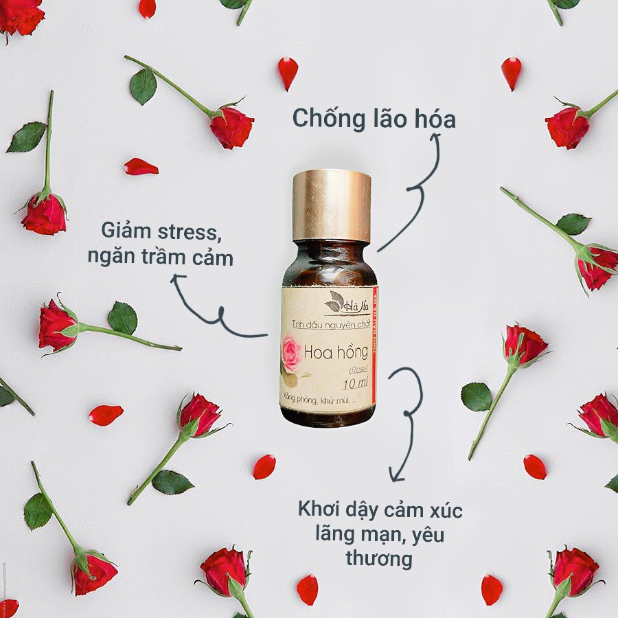 Tinh dầu hoa hồng - Tinh Dầu Hà Na - Khử mùi không khí, xông phòng, đốt đèn, làm nước hoa.