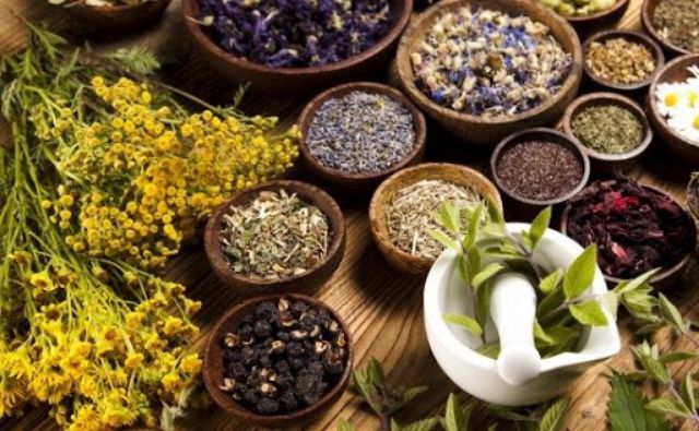 Dầu gội thiên nhiên Nàng Thơ giúp mọc tóc, ngăn gàu ngứa, giảm rụng, bồ kết thảo mộc cho mẹ bầu – Dầu khuấy Nàng Thơ