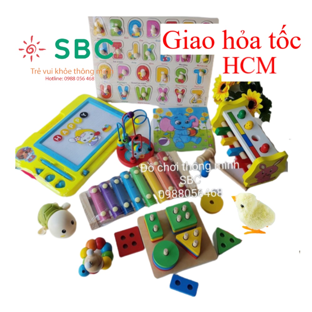 Đồ chơi gỗ trí tuệ – Combo 3-6 món đồ chơi gỗ tiết kiệm cho bé