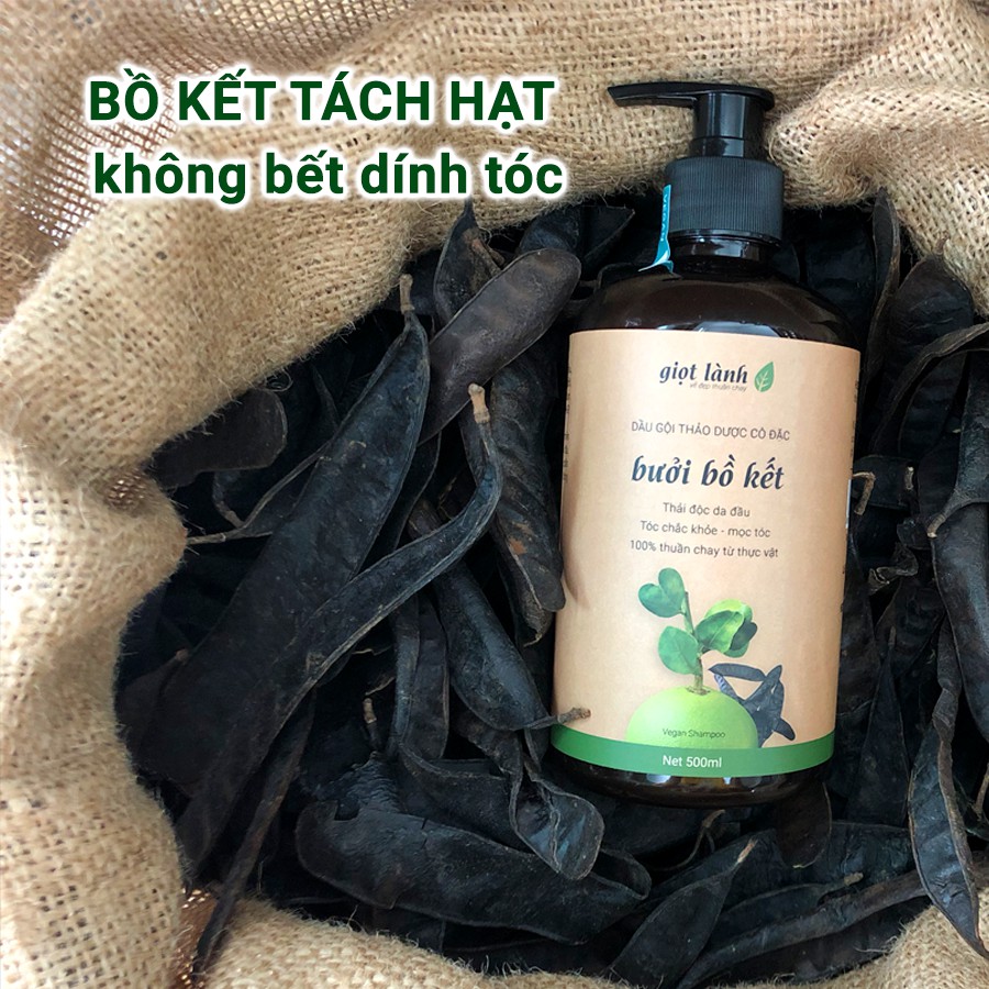 Cặp gội xả, dầu gội đầu bồ kết đun cô – Dầu xả thiên nhiên dừa oliu giúp kích thích mọc tóc, giảm rụng Giọt Lành