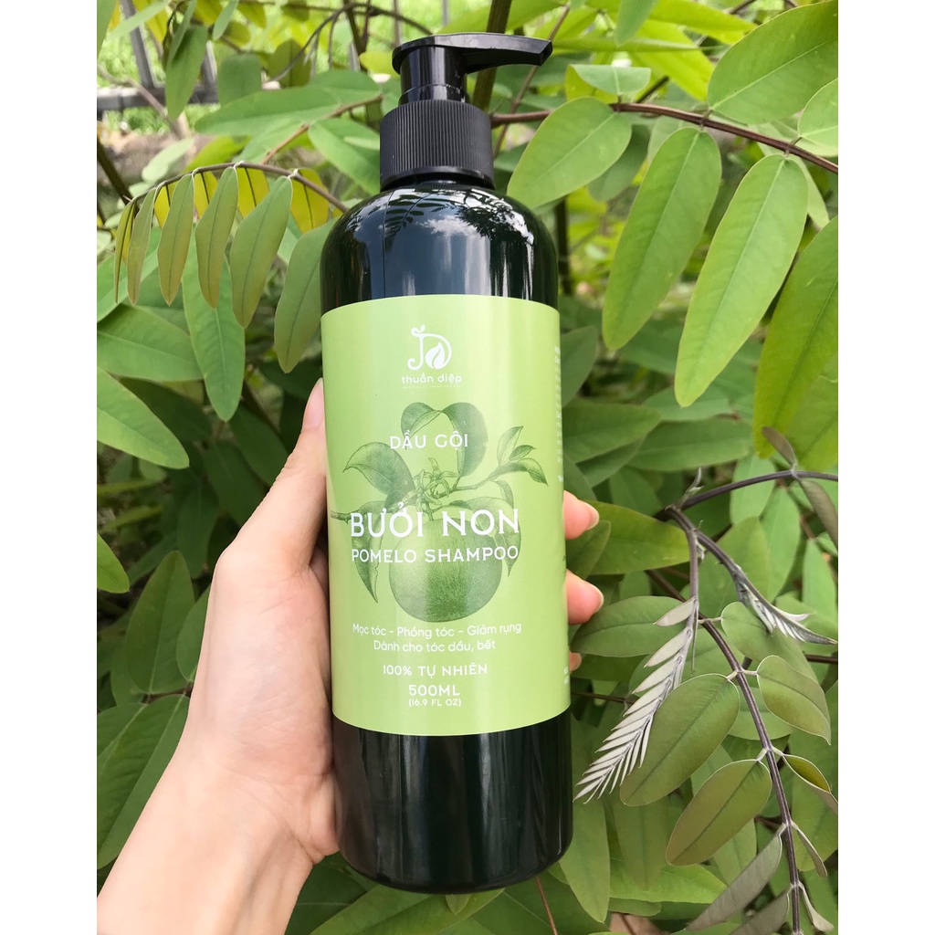 Bộ đôi dầu gội dầu xả bưởi giúp mọc tóc giảm rụng tóc cho tóc mềm mượt chắc khỏe Thuần Diệp