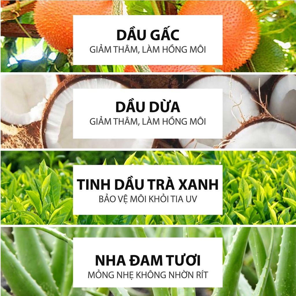 Son Dưỡng Ẩm, Giảm Thâm Môi: Dừa, Trà Xanh, Gấc MILAGANICS (4.5g/ Cây)