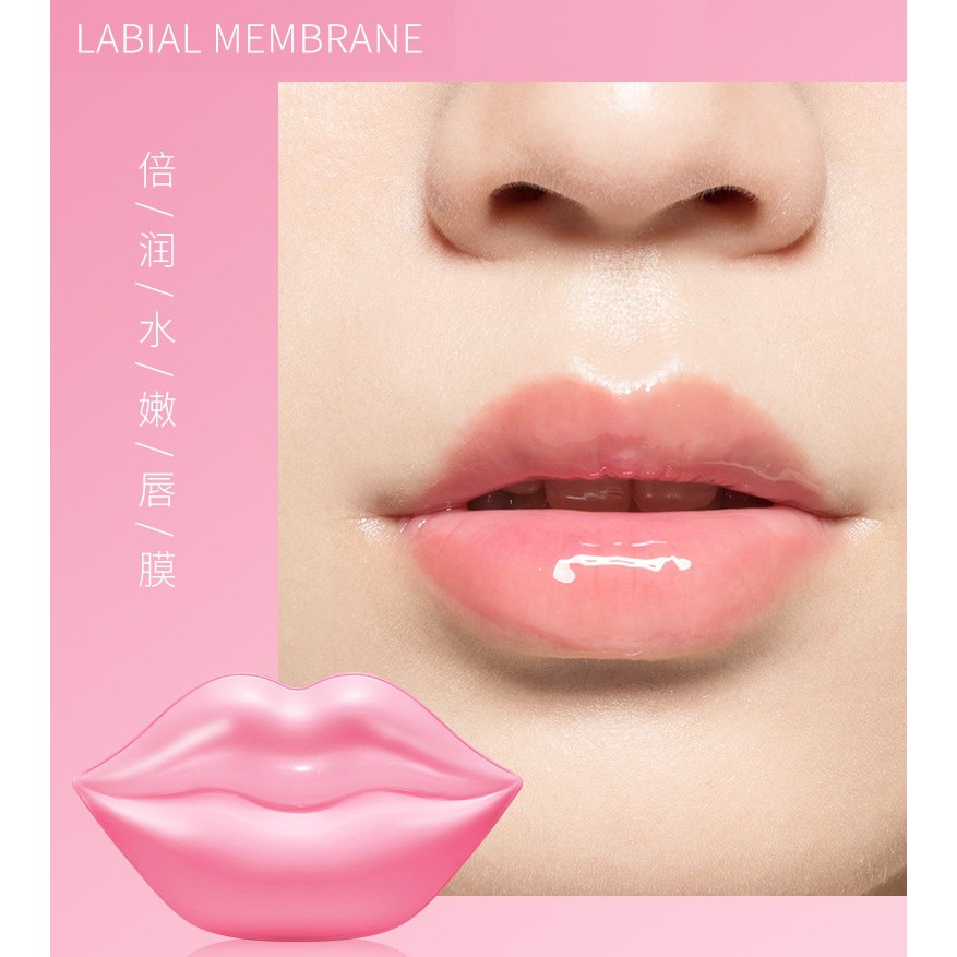 Hộp 20 Miếng Mặt Nạ Môi Dưỡng Ẩm Bổ sung Collagen của VenZen Bioaqua