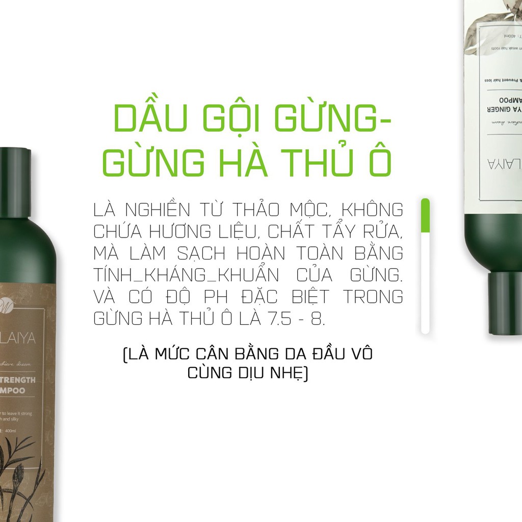 Bộ Dầu Gội Weilaiya Chính Hãng Tinh Chất Gừng Hà Thủ Ô Hỗ Trợ Mọc Tóc Ngăn Rụng Tóc – Cho Da Đầu Khô (Sẵn Số Lượng Lớn)