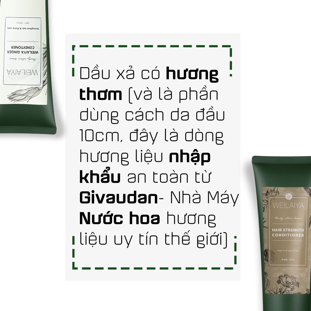 Bộ Dầu Gội Weilaiya Chính Hãng Tinh Chất Gừng Hà Thủ Ô Hỗ Trợ Mọc Tóc Ngăn Rụng Tóc – Cho Da Đầu Khô (Sẵn Số Lượng Lớn)