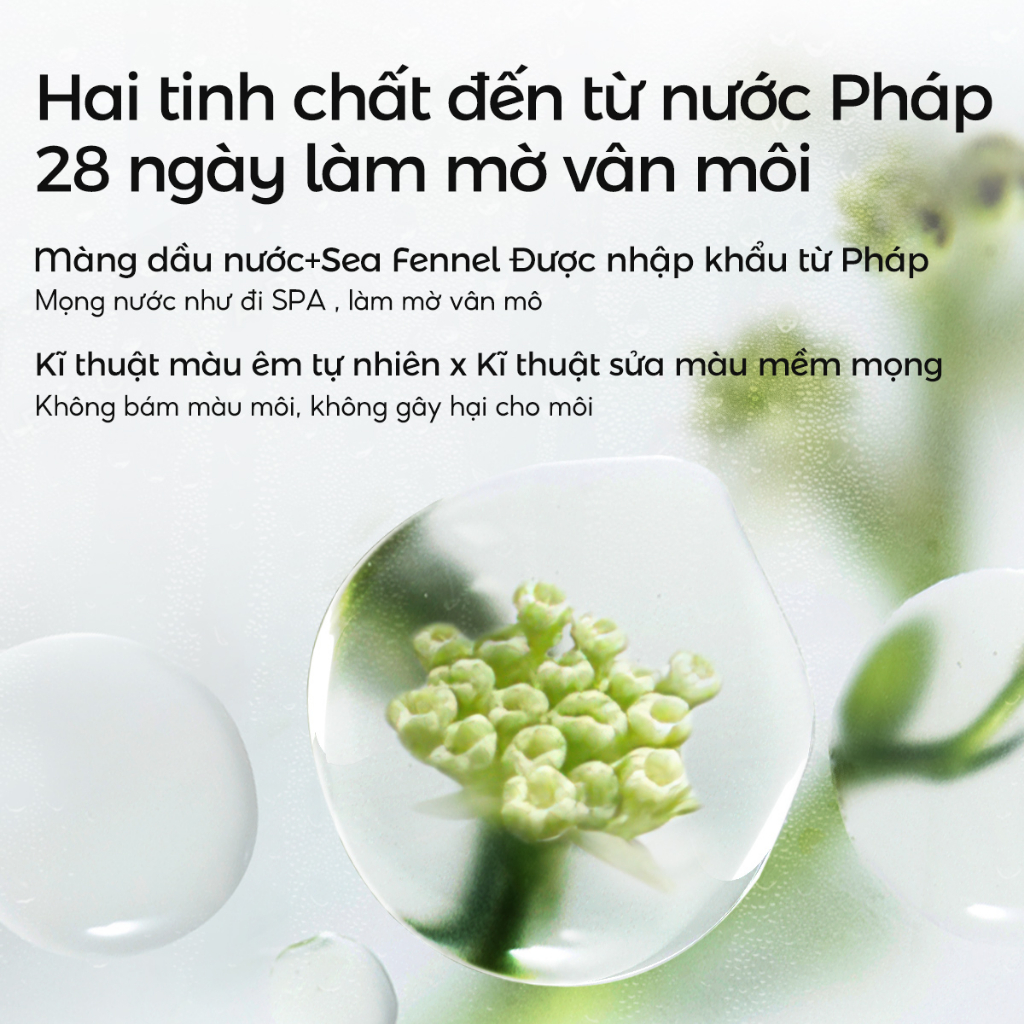 Serum môi Carslan Son kem lì Dưỡng Môi Giảm Nếp Nhăn Chăm Sóc Môi 4.5g