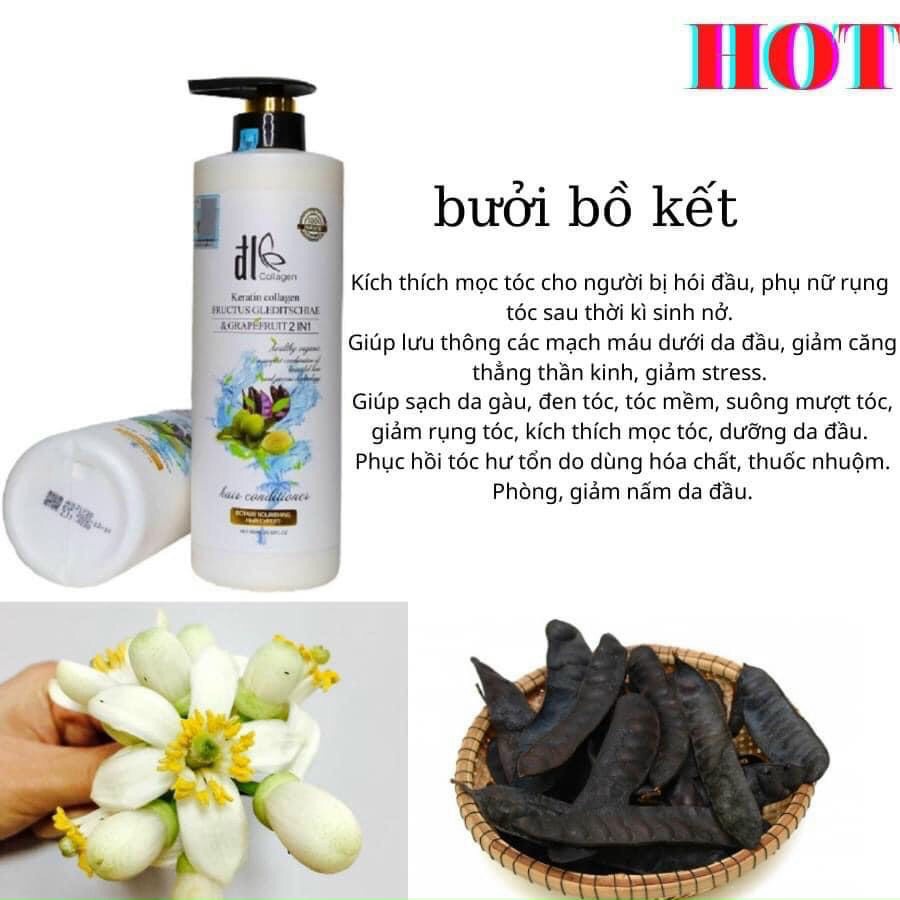 Cặp Dầu Gội Xả Bưởi Bồ Kết 850ML | Giảm Rụng Tóc, Phục Hồi Tóc Khô Xơ, Hư Tổn | Hàng Chính Hãng ALYA