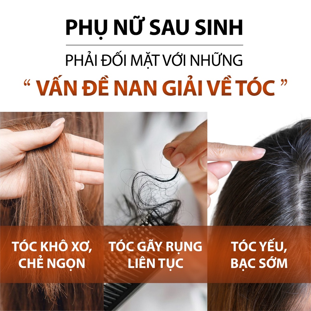 Dầu Gội Thảo Dược Bồ Kết Cô Đặc Làm Đen Tóc, Nấm Ngứa, Ngừa Rụng Tóc MILAGANICS 250ml (Chai)