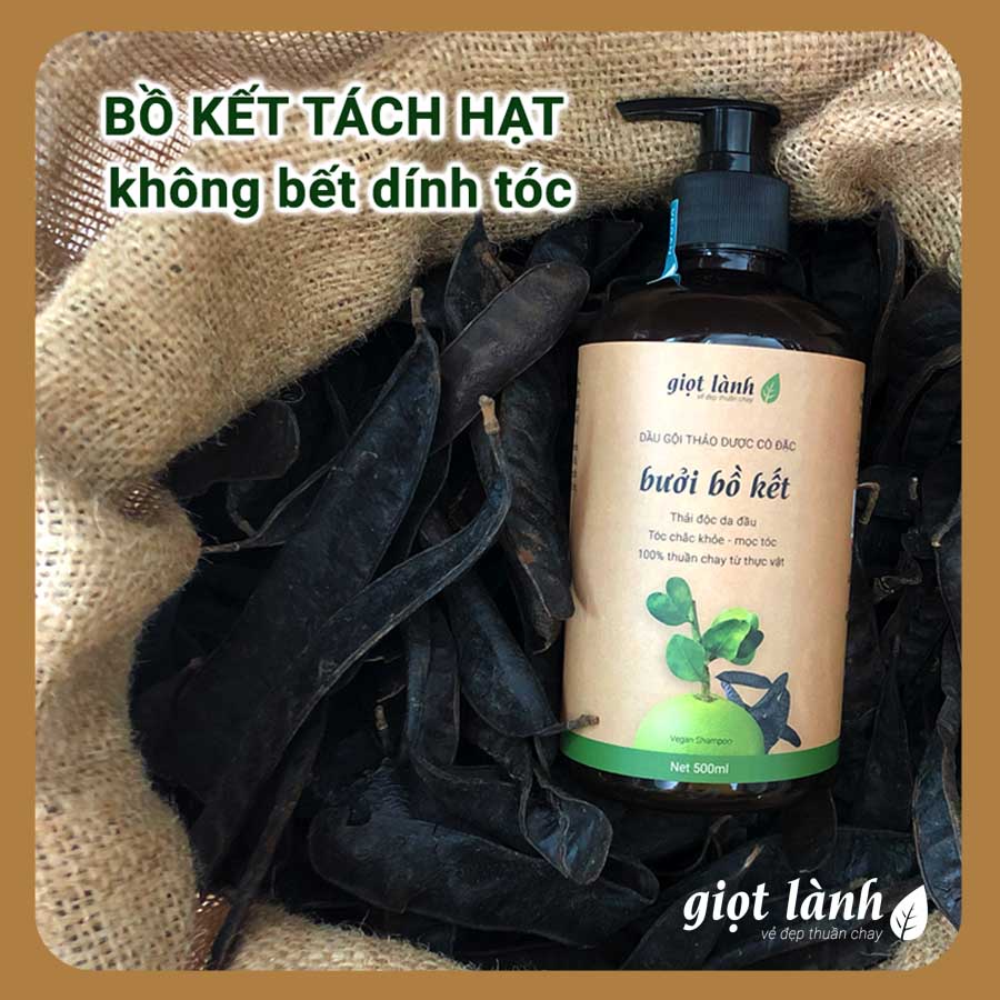 Dầu gội bồ kết – bưởi cô đặc, dầu gội thảo dược kích thích mọc tóc Giọt Lành 500ml