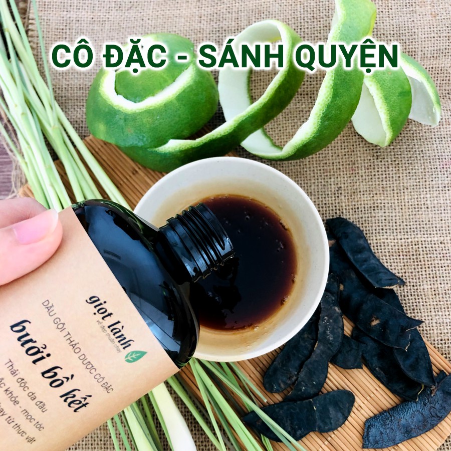 Dầu gội bồ kết – bưởi cô đặc, dầu gội thảo dược kích thích mọc tóc Giọt Lành 500ml