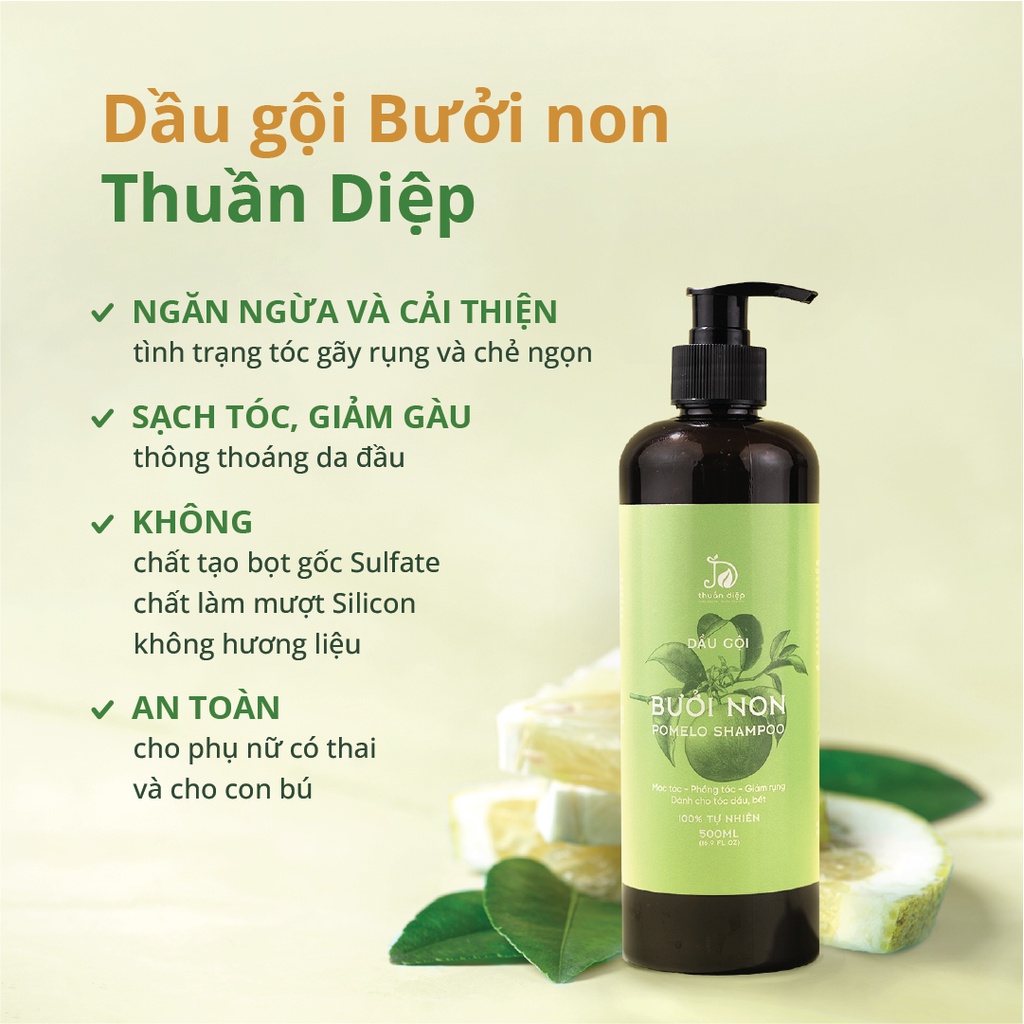 Bộ đôi dầu gội dầu xả bưởi giúp mọc tóc giảm rụng tóc cho tóc mềm mượt chắc khỏe Thuần Diệp