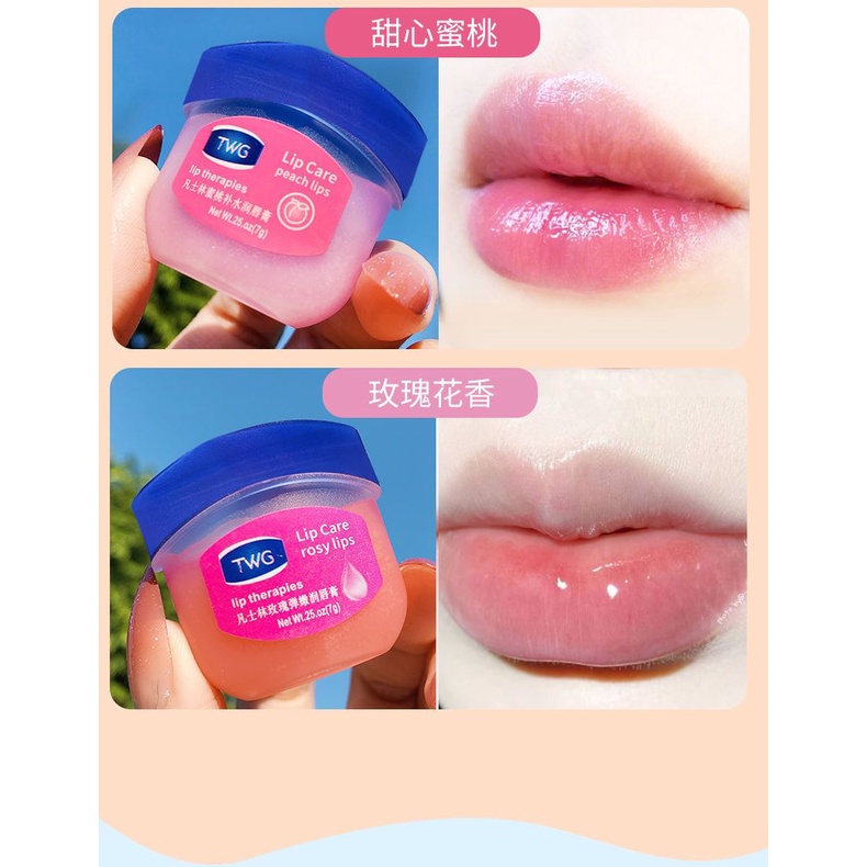 Son Dưỡng Ẩm Vaseline Tẩy Tế Bào Chết Làm Mờ Vân Môi/Dưỡng môi VANCILIN 7g dạng hũ LOẠI RẺ cho KHÁCH SỈ đủ vị ( trộn nhiều mùi khi mua ) Sáp Son Dưỡng Môi VANCILIN