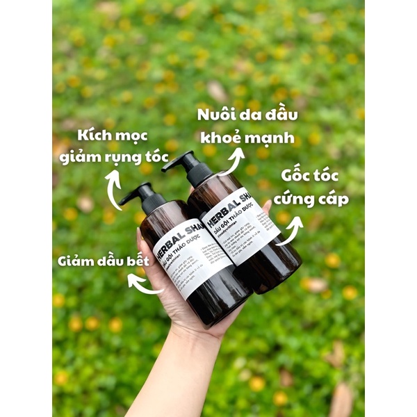 Dầu gội thảo dược Bồ Kết giúp mọc tóc giảm rụng – HERBAL SHAMPOO @beautywithHan