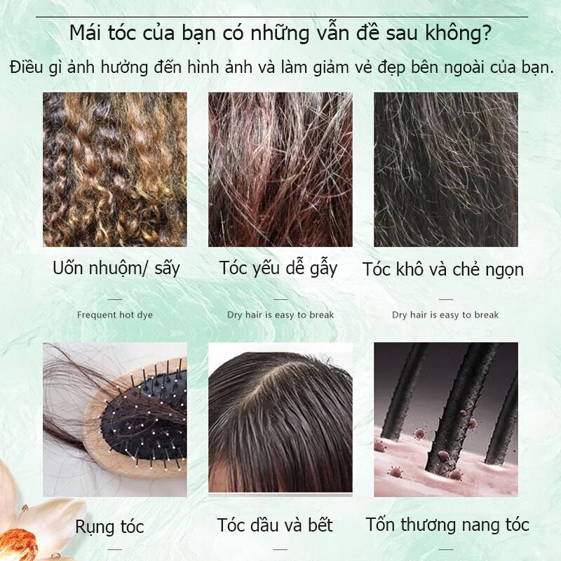 dầu gội mọc tóc Dầu gội kích thích mọc tóc dầu gội chống rụng tóc  Dầu gội gừng Chăm sóc tóc 500ml  giảm rụng tóc  Mọc Tóc Nhanh kiểm soát dầu loại bỏ gàu