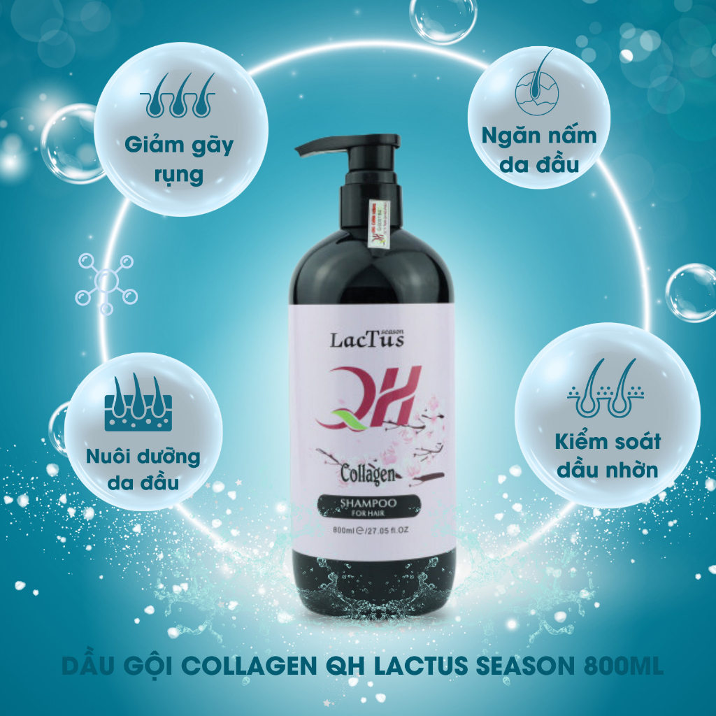 Dầu gội collagen QH Lactus season dầu gội cho da dầu bết, ngăn gàu combo dầu gội dầu xả ngăn rụng tóc 800ML